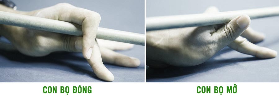 Sử dụng cơ bida đúng cách - Các kiến thức căn bản - Hệ Thống Nút Số 3 Băng